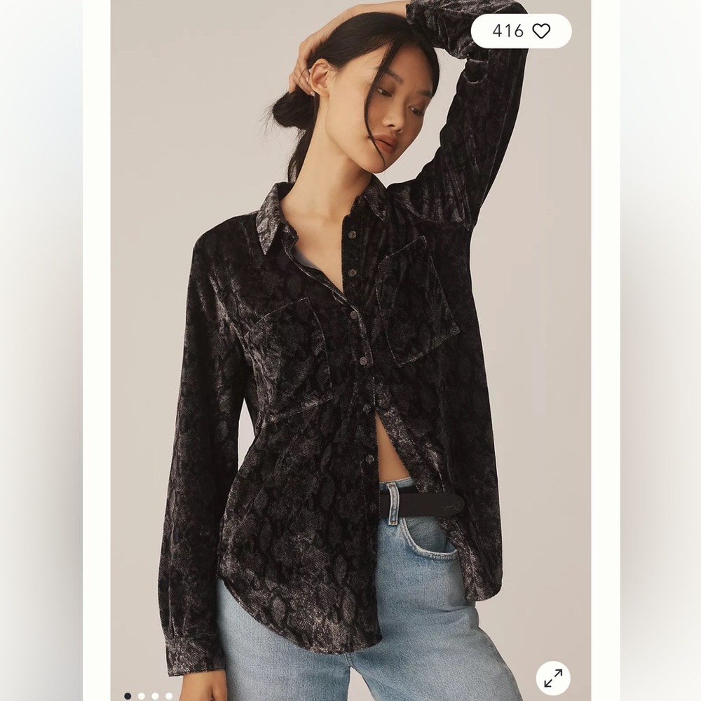 NWOT The Hadley Relaxed Buttondown Shirt by Pilcro: Velvet Edition